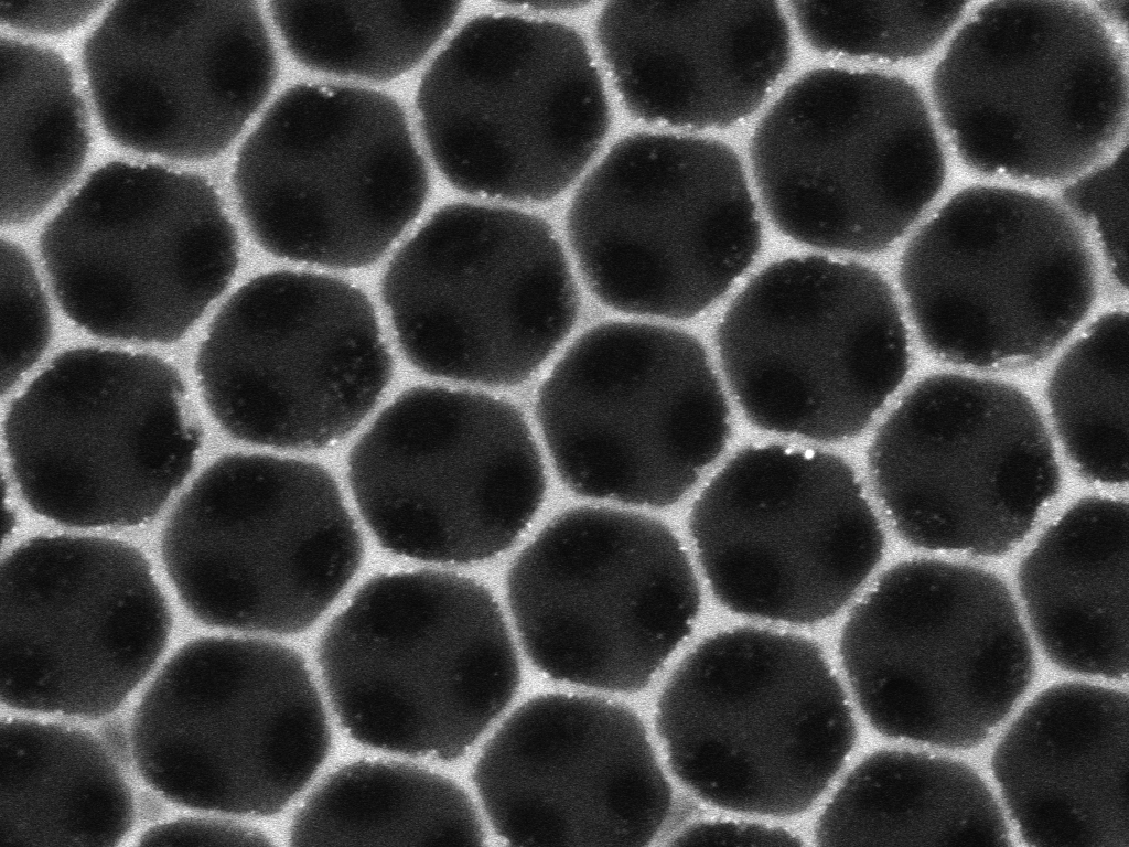 Uploaded catalyst image for the KRG Lim Lab hero section